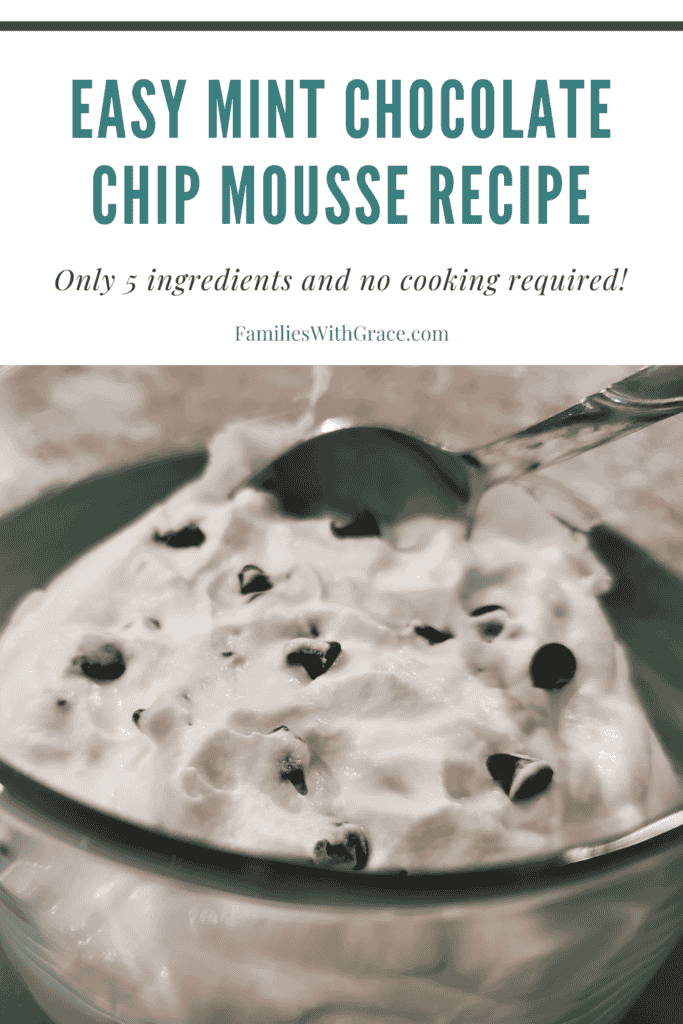 Christmas recipes: mint chocolate chip mousse