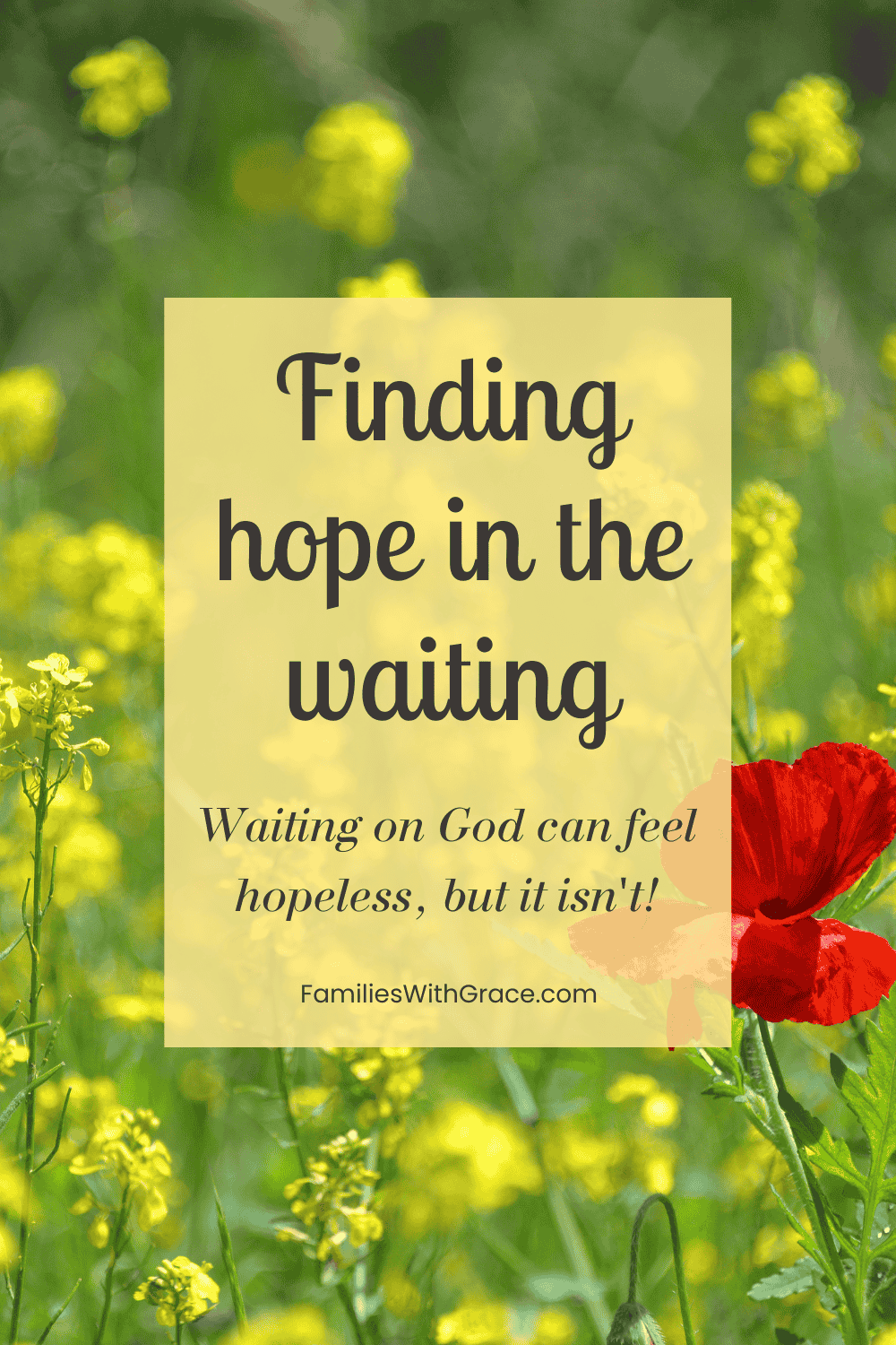 Finding hope in the waiting