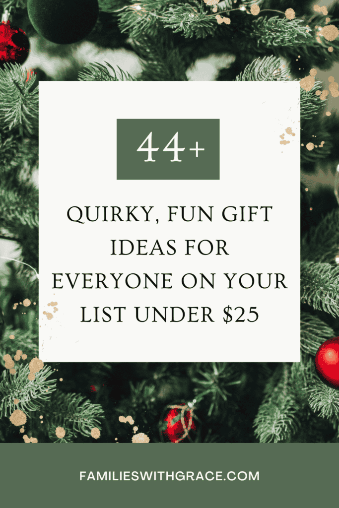 44+ Quirky, fun Christmas gift ideas for everyone on your list