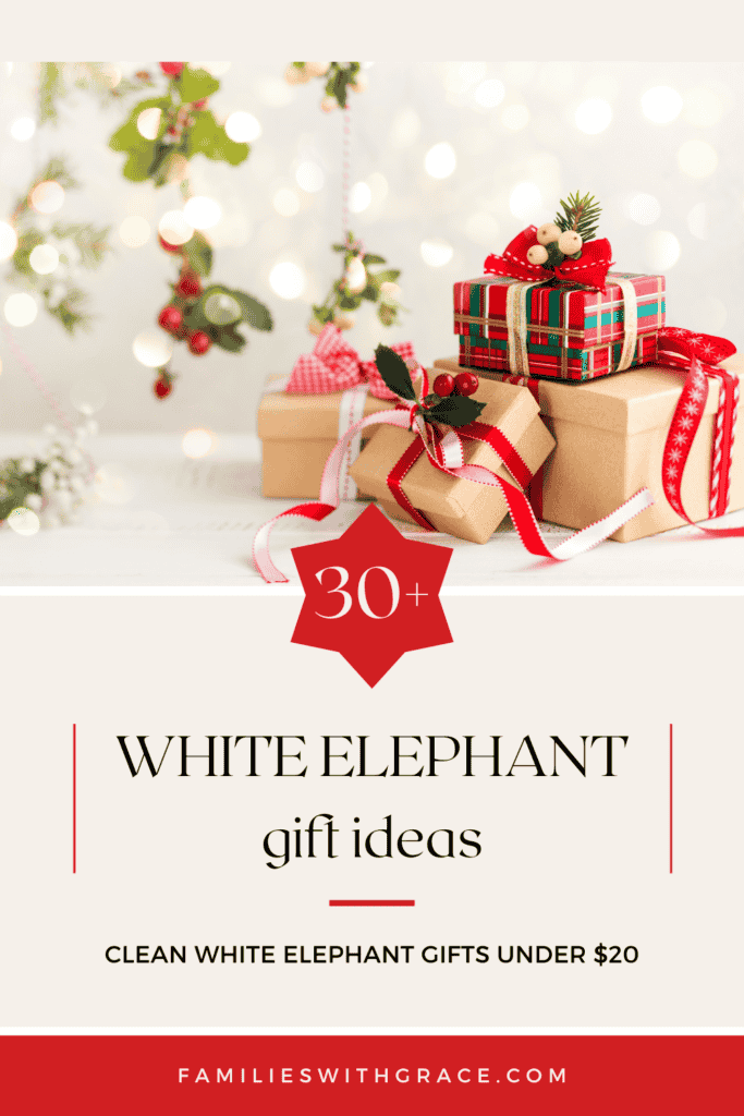 30+ White elephant gift ideas under $20 Pinterest image