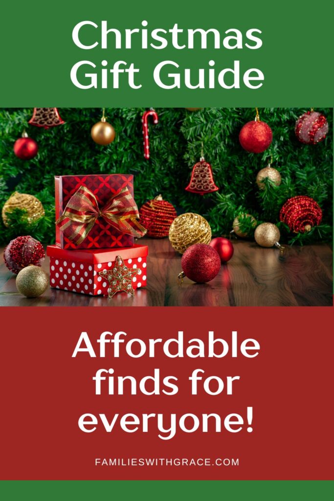 Christmas gift ideas under $20 Pinterest image 1