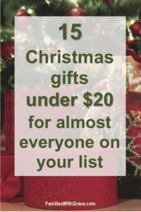 30+ of the best white elephant gift ideas under $20 - Families With Grace