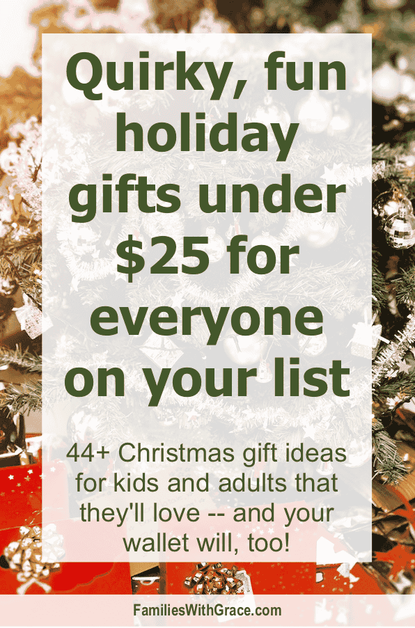 Quirky, fun holiday gift ideas under $25 for everyone on your list