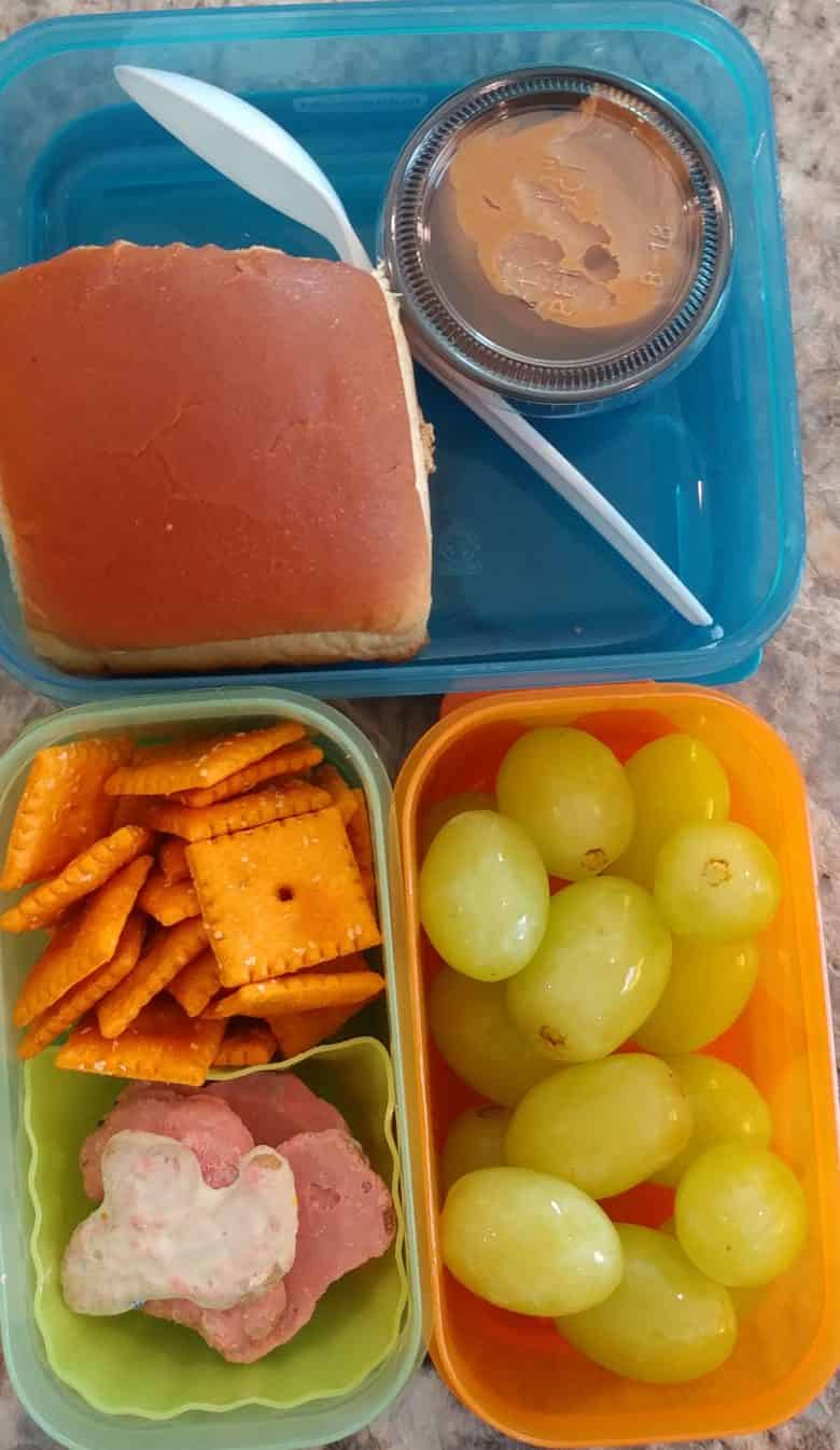 School lunch ideas even your pickiest eater will love - Families With Grace