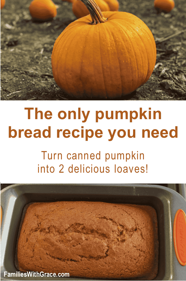 Christmas recipes: pumpkin bread