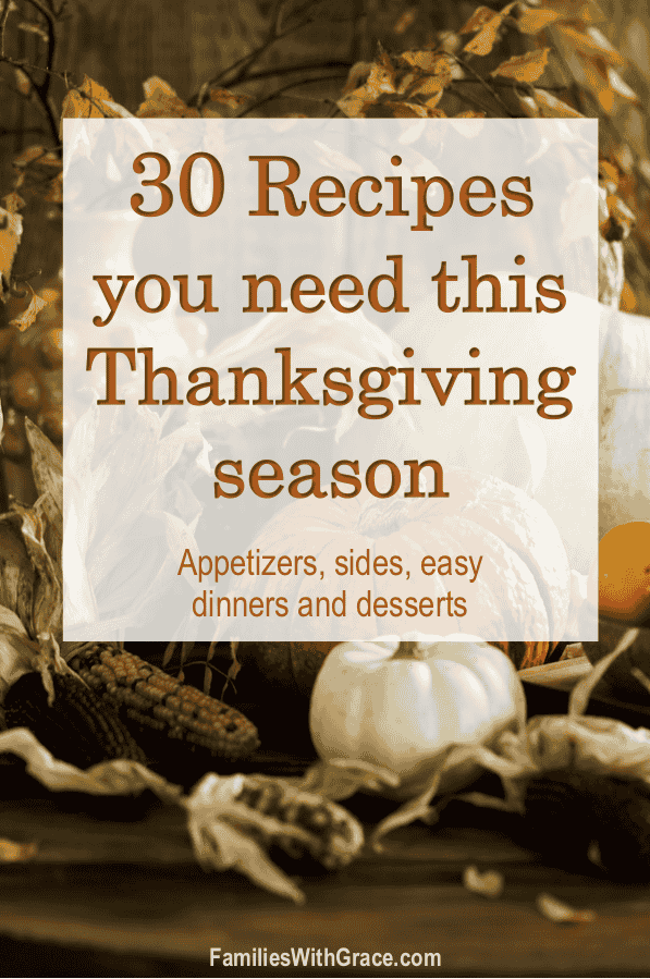 30 Recipes you need this holiday season