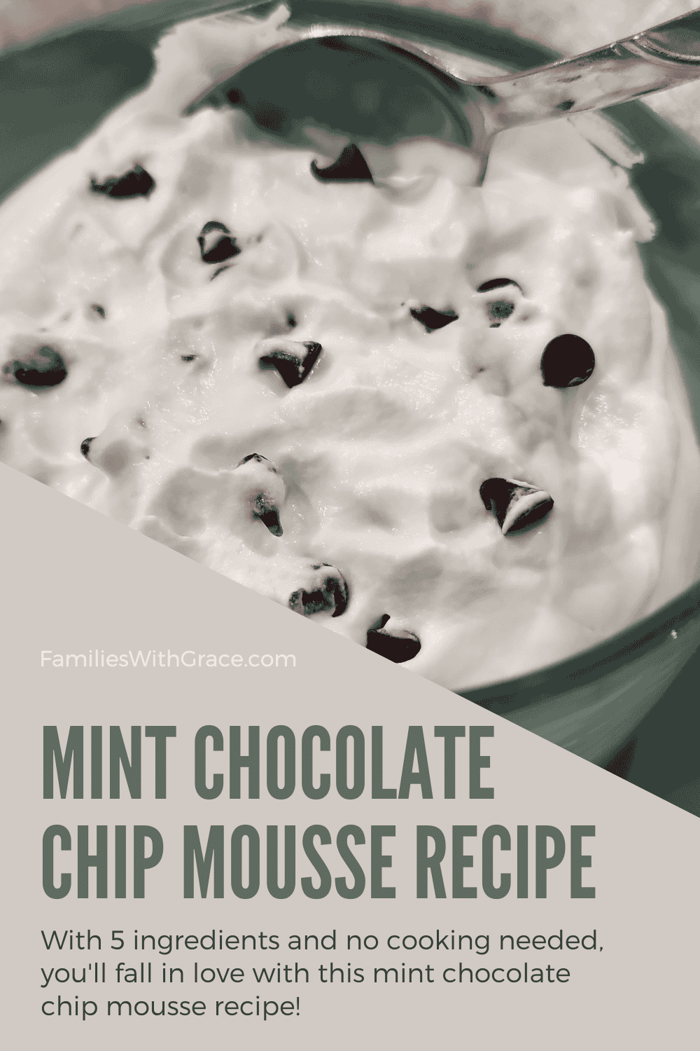 Easy mint chocolate chip mousse recipe