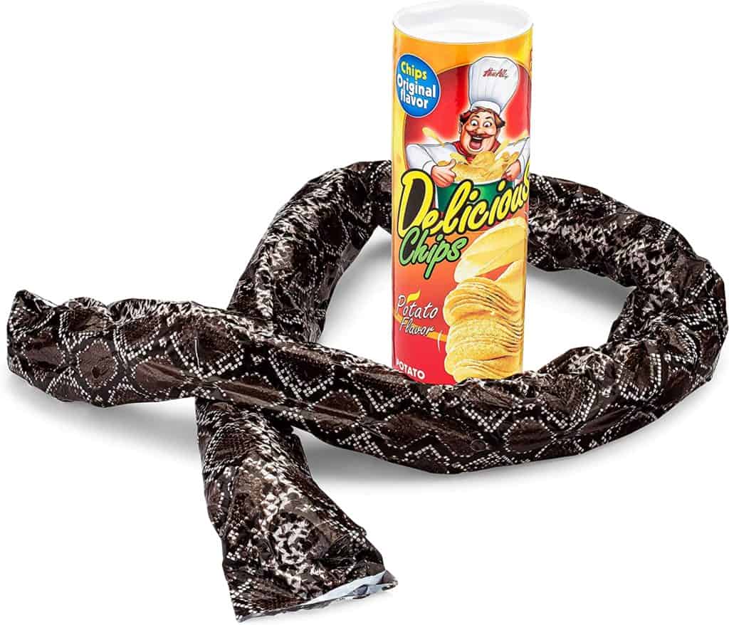Gag gift ideas: Snake in a can