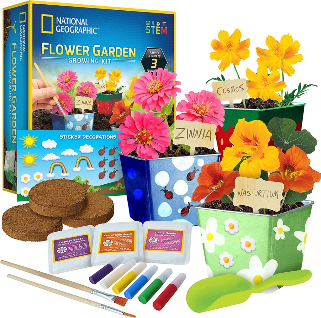 National Geographic flower growing kit