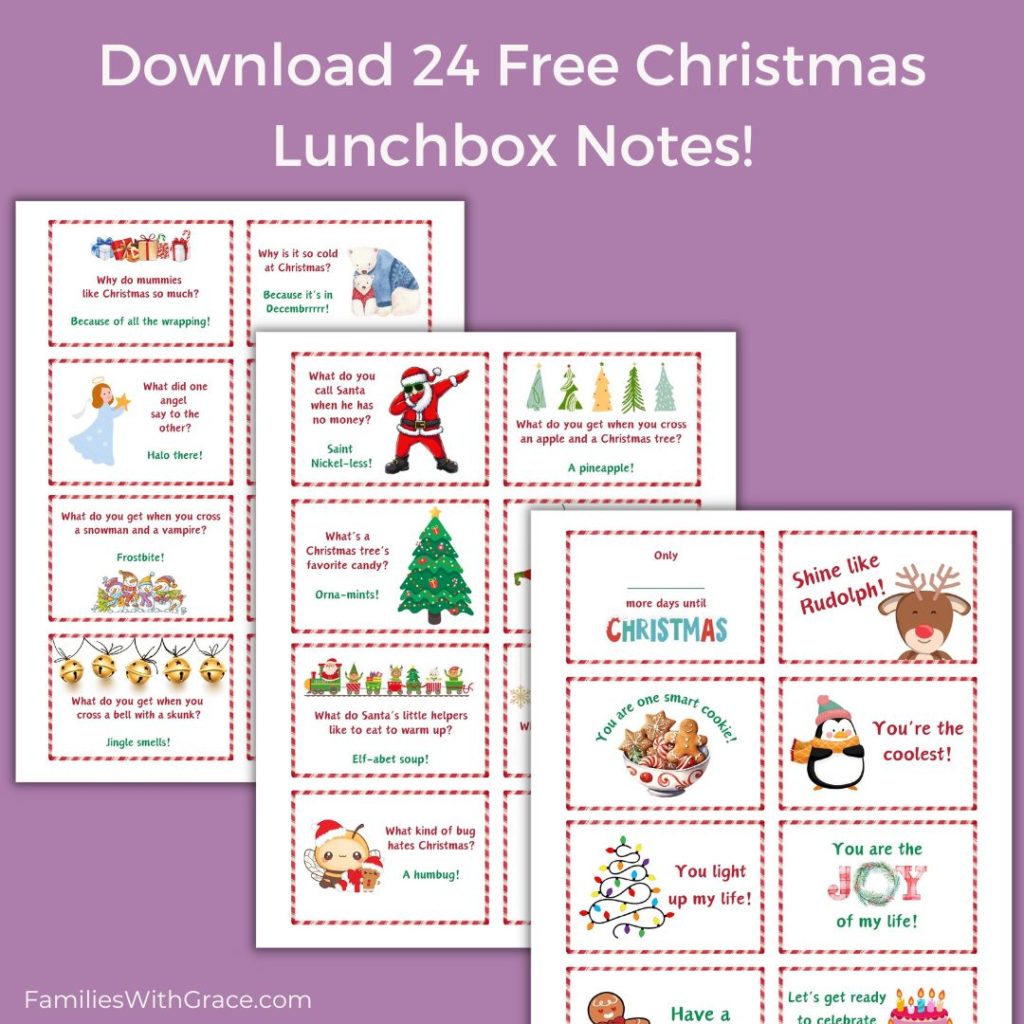 Click here to download the free printable Christmas lunch notes