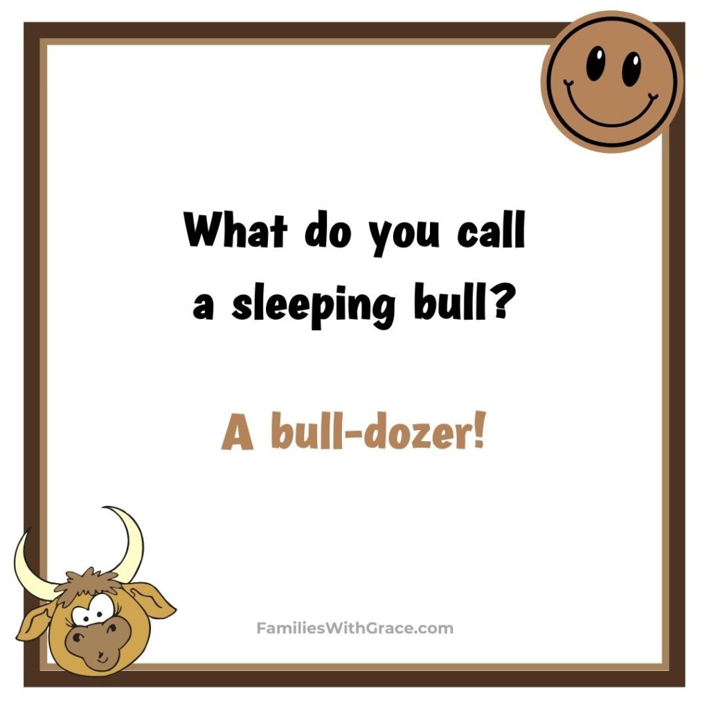What do you call a sleeping bull? A bull-dozer!