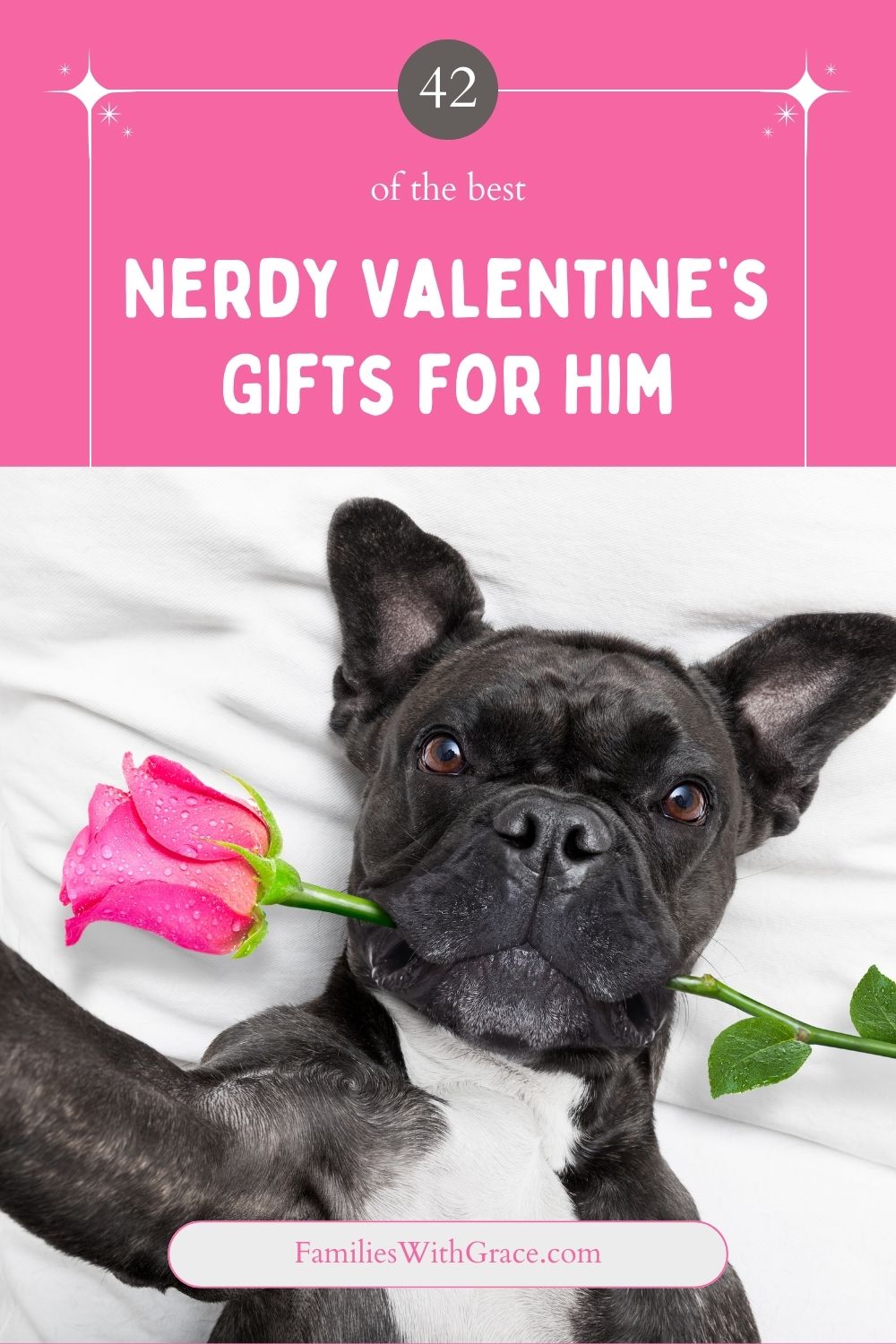 The best nerdy Valentine\'s gifts for him 2024