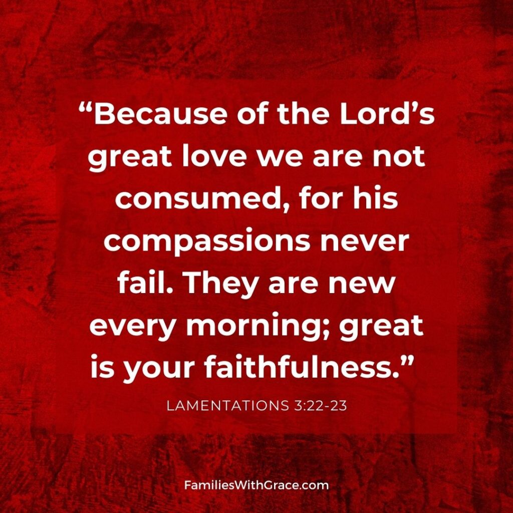 Lamentations 3:22-23 image