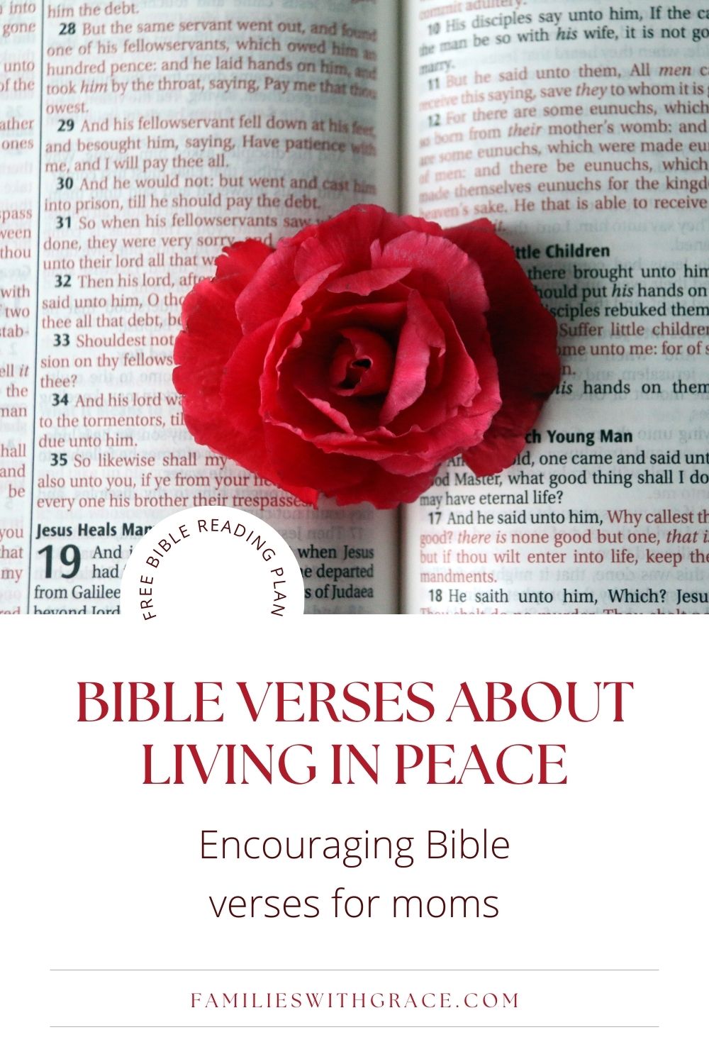 31 Bible verses about finding peace (with a free reading plan!)