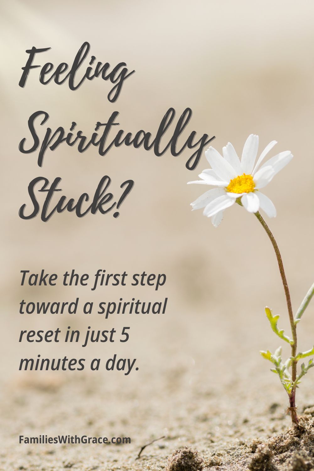 What does a reset in the Bible look like?