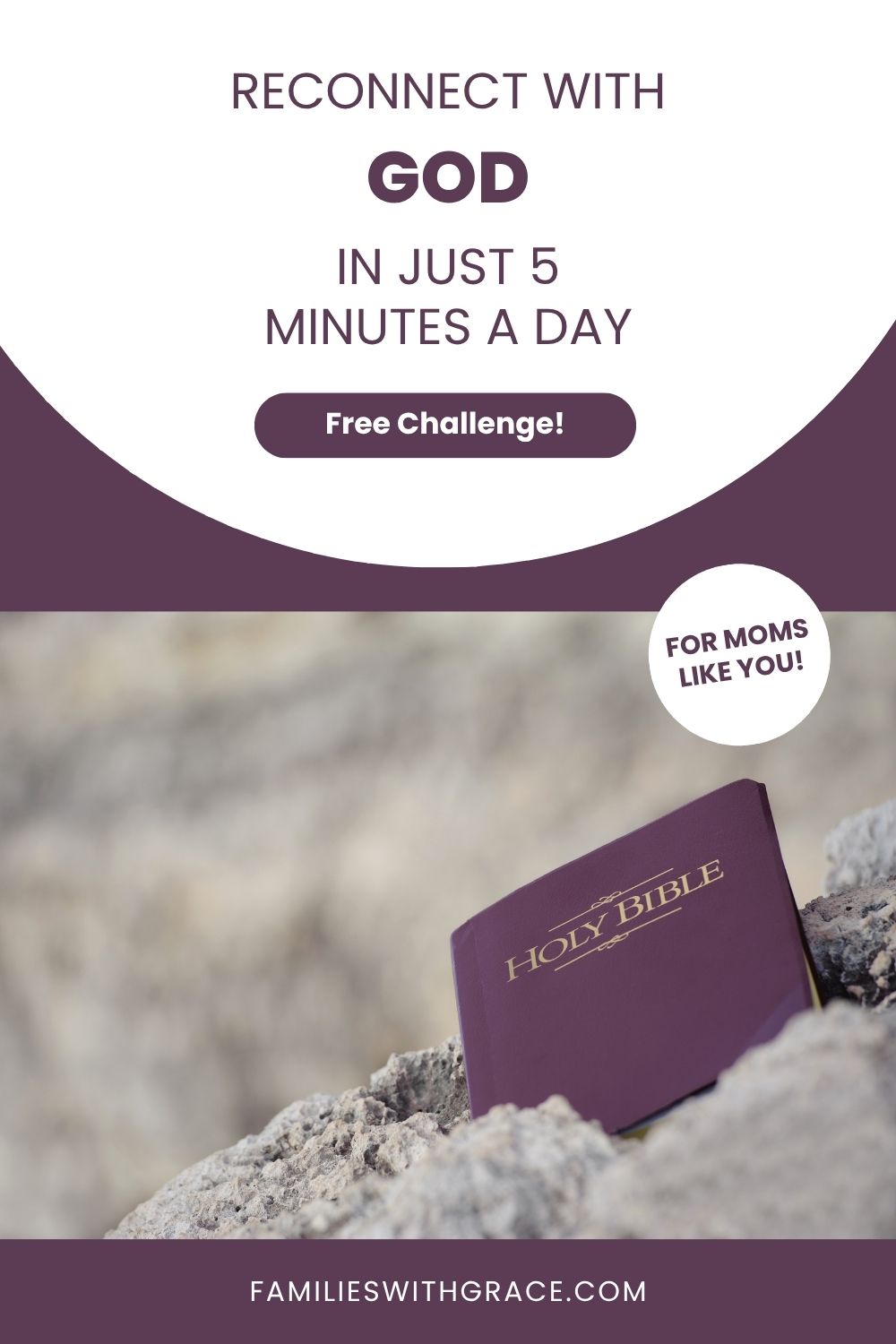 What does a reset in the Bible look like?